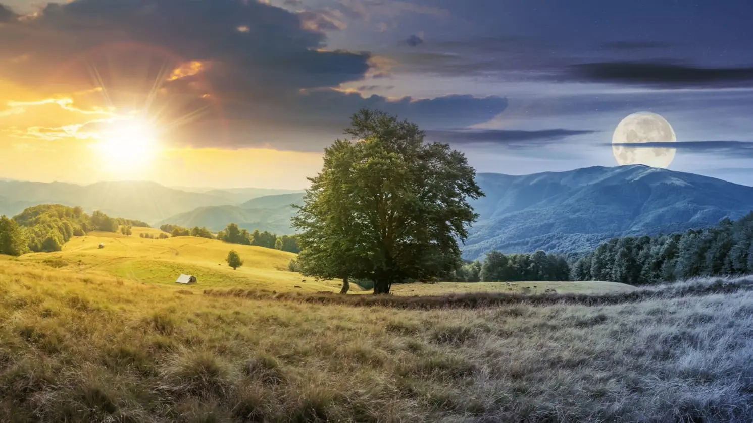 Study Skills Bootcamp